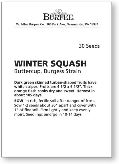 Burpee Buttercup Burgess Strain Winter Squash Seeds 30 seeds