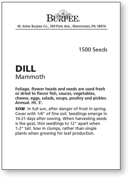 Burpee Dill Seeds