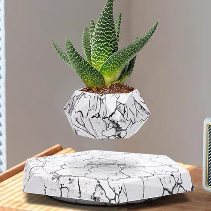MOOCCI Floating Plant Pot Magnetic Levitating Plant Pot for Succulents, Air Bonsai and Fake Flowers and Plants, Unique Decor for Home, Office and Desk, Father's Day (Marble)