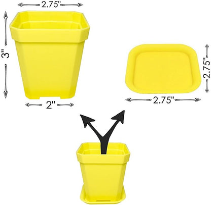 14pcs Colorful Square Plastic Plant Pot, Planter, Flower Pot with Pallet Tray Saucer for Decoration of Home Office Desk Garden Flower Shop