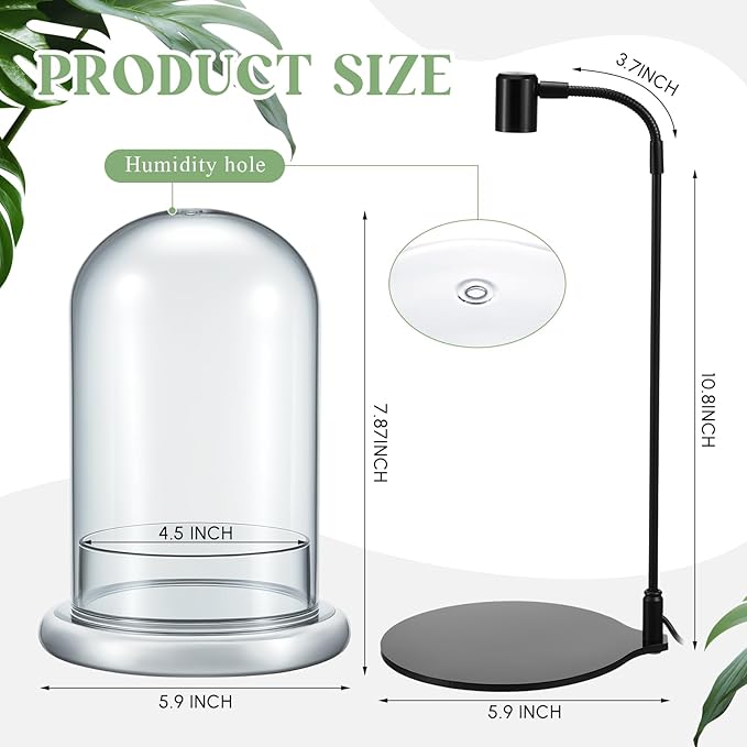 Maxdot Plant Terrarium Kit with Grow Light, 4.8'' x 7.87'' Glass Dome Terrarium with Air Hole and Base, Succulent Air Planter Fern Moss Micro Landscape Vase for Home Office Tabletop Decoration