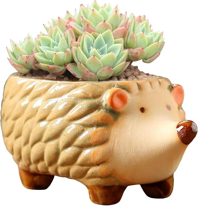 Gaolinci Cute Animal Shaped Ceramic Succulent Cactus Flower Pots (Plant Not Included) (Small, Hedgehog)