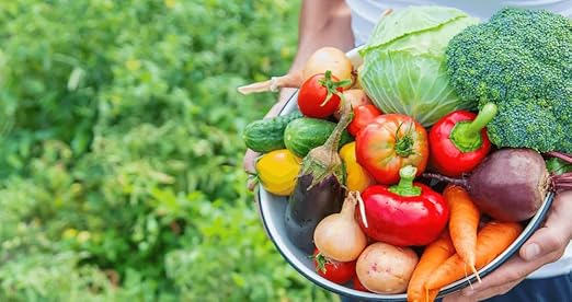 Organic Growing Fertilizer 1 Gal, CDFA Organic Registered. Plant Care Fertilizer for Vegetable Gardens Like Tomato, Cucumber, Squash, Beans and All Other Plants