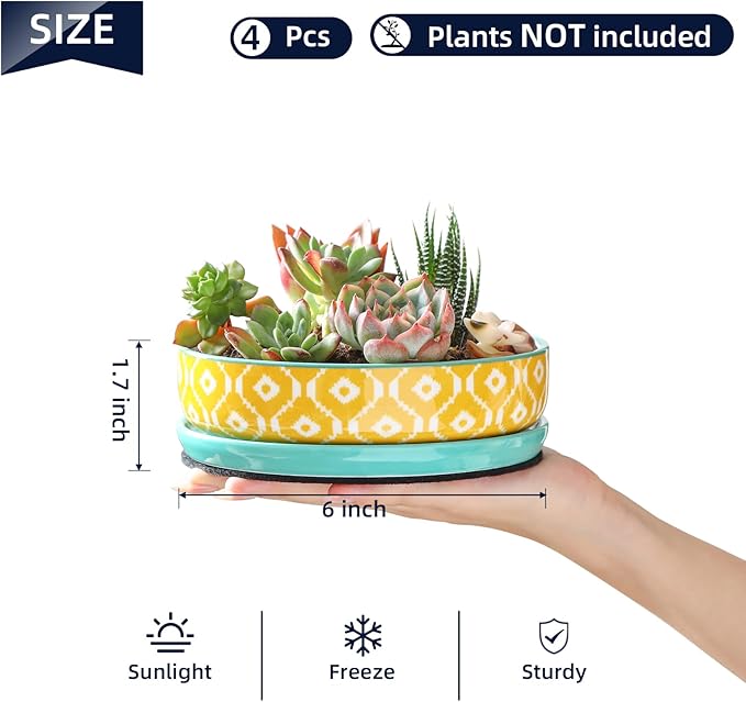 Selamica Ceramic Succulent Pots, Shallow Succulent Planters with Drainage Hole & Saucer, Indoor Plant Pots for Cactus, Home Decor，Assorted Colors,6 inch，Set of 4