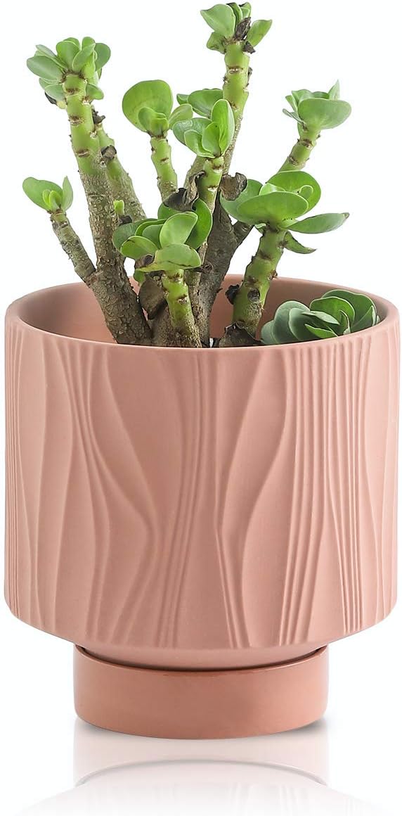 UBEE Ceramic Plant Pots for Indoor Plant, 5.5 inch Succulent Pot with Drainage Hole and Saucer, Flower Pot for Garden Home Desktop Office, Terracotta