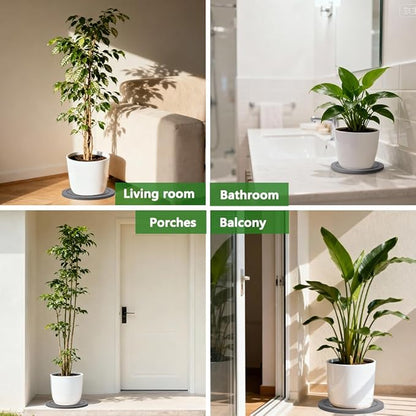 Plant Saucer for Indoors, 8+10 Inch, Instantly Dry Diatomaceous Earth Plant Trays, Stone Plant Pot Saucers Drip & Drainage Tray, Gray
