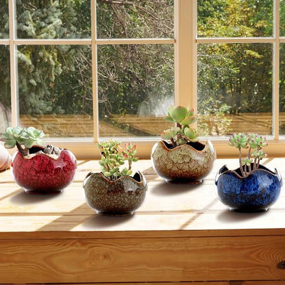YYW Succulent Pots Small Flower Pots with Drainage Hole Ceramic Planters for Indoor Plants Stylish Plant Pots in Egg Broken Shell Design for Home Office Decor Shallow Plant Pots for Plant Lovers Gifts
