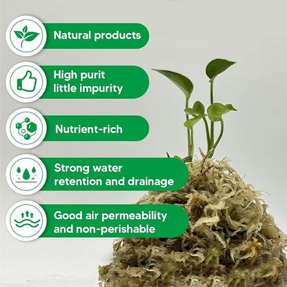Natural Long Fiber Sphagnum Moss 82QT for Orchid Potting Mix,and Moss Pole for Plants Indoor.Ideal for Propagating Plants,Maintaining Humidity for Reptiles, Isopods in Paludarium, Aquascape (1.5 lb)