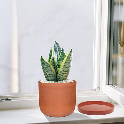 Ceramic Plant Saucer Pot Tray 10.7 Inch, Planter Saucers 6 7 8 9 10 11 12 15 Inch, Durable Sturdy Flower Drainage drip Water Tray for Glazed Pots Base (10.7Inch- Red Terracotta)