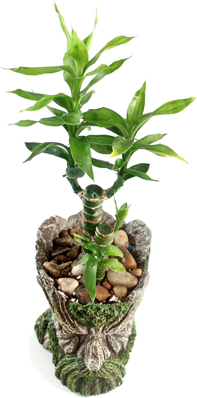 Funny Planter Head Planter with Drainage Hole Resin Plant Pot Pencil Holder Desk Storage(Mustache Man)