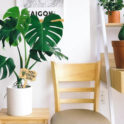 Funny Wooden Plants Markers Wood Plants Labels Stake Funny Wooden Plants Decor Tags for Indoor Outdoor Garden Plants Home Decoration