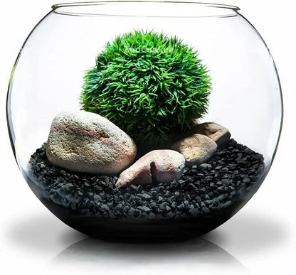 Horticultural Charcoal for Plants 2 qt, All Natural Hardwood Charcoal, Activated Charcoal for Soil Amendment, Orchids, Terrariums, and Gardening