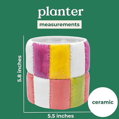 ban.do Novelty Ceramic Planter with Drainage Hole, Decorative Planter, Ceramic Planter for Home Decor, Cute Decor, Unique Planter, Colorblock
