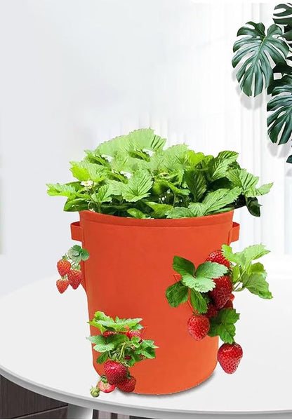 Ulalaza 5PCS Potato Grow Bags with Flap Plant Grow Bags Fabric Multi Ribbon Potato Bag Tomato Vegetable Growth Non-Woven Felt Planting Bag Transparent