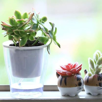 5-Pack 4.3 Inches Clear Self-watering Pots Small African Violet Planters Plastic Plant Pots Wicking Flower Pots for Indoor Plants, Herbs, African Violet, Ocean Spider Plant, Orchid Pot, Garden Pots