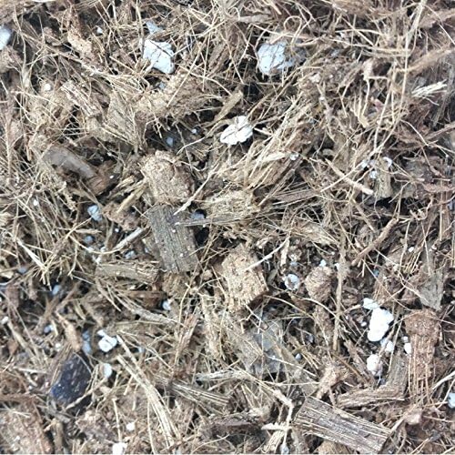 rePotme All Purpose Orchid Mix - Value - (4 Quart Resealable Bag)