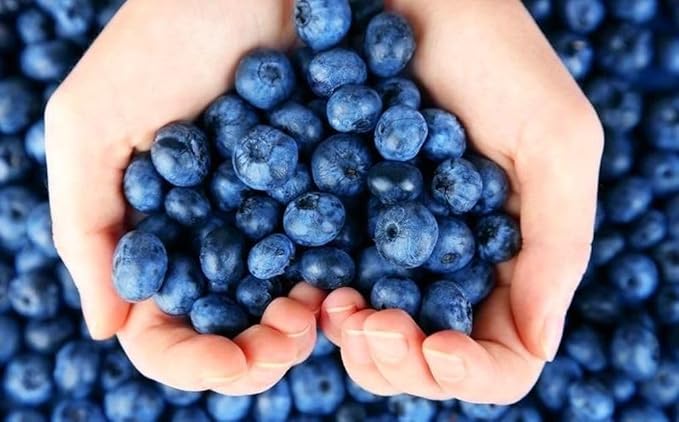 200 Pcs Blueberry Seeds for Planting