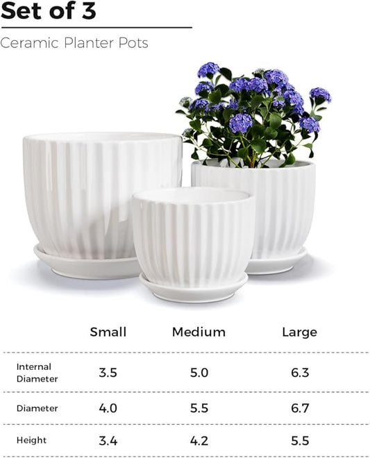 Ton Sin White Plant Pots Set of 3,Indoor Ceramic Flower Pot with Saucers,6.7"&5.5"&3.9" Inch Small to Medium Sized Planters for Plants,Round Modern Garden Pots