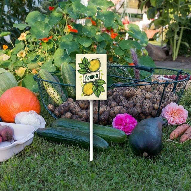 Uptell Vintage Aluminum Lemon Fruit Signs Yard Sign with Stake for Garden Fruit Garden Label Stakes Plant Markers for Outdoor Plants Waterproof 8x12 inch