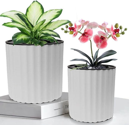 MUZHI Orchid Pot with Net and Holes, Round Self Watering Planter Pot for Indoor Plants and Flowers 3 Sets White
