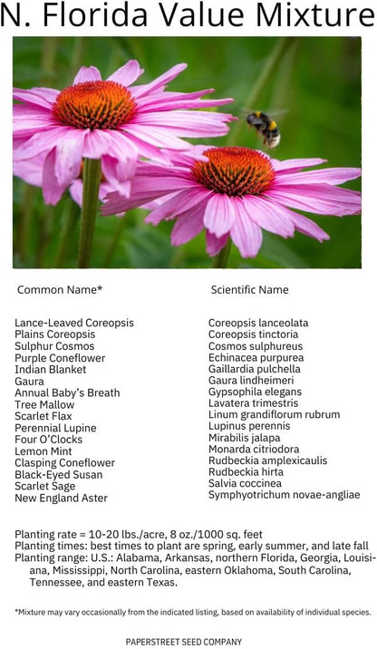 North Florida Bulk Perennial Wildflower Seed Mix 1lb Covers 2,000sq-ft - Attract Pollinators, Multi-Color Blooms - Southeast Species Plant Spring/Fall, Earth-Friendly Packaging (1/8 Pound (2 Ounce))