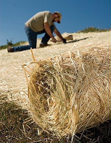Heavy Duty Garden Stakes - Stronger Holding Power vs Metal Landscape Stakes - Made in USA - Biodegradable Over Time (No More Rusting Metal) (1000, 6" EcoDuty Stakes)