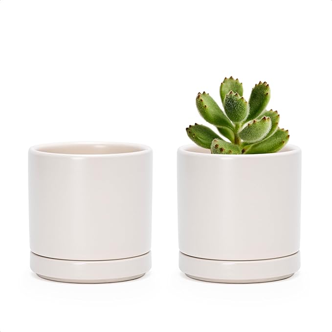 D'vine Dev Set of 2 Plants Pots, 3.5 Inch Ceramic Planter Pot for Plants with Drainage Hole and Saucer, Oatmeal, 94-V-A-8