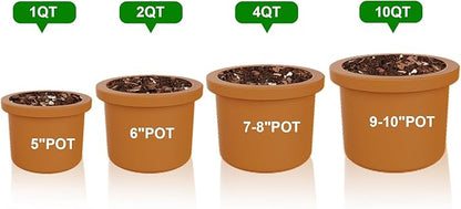 African Violet Potting Soil Mix 1qt, Pre-Mixed Acid Soil Ideal for African Violets to Ensure Optimal Nutrient Uptake and Vibrant Blooms