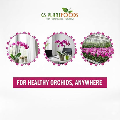GS Plant Foods Orchid Love – Dry Fertilizer – Supports Balanced Nutrition, Root Zone Conditions & Media Health for All Types (12 oz)