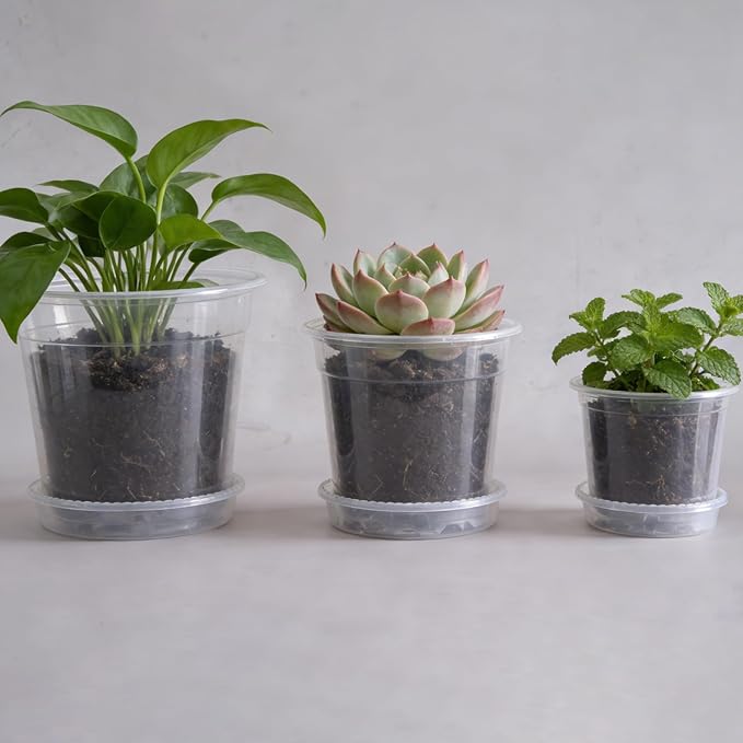 25 Packs 3/4/5/6/7 Inch Clear Nursery Pots, Nursery Pots with Drainage and Saucers, Clear Plastic Plant Pots, Flower Pots for Plants for Flowers, Succulents (with 25 Plant Labels)