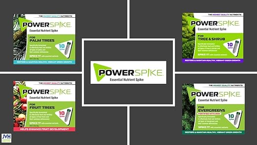 Power Spike for EVERGREENS, Fertilizer Spike. Essential Nutrient Spike Fortified with Iron to Feed All Types of evergreens and Address Common Deficiencies (10 Spikes - 3.2 lbs) (10)