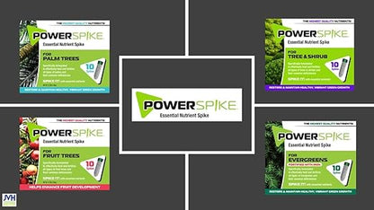 Power Spike for EVERGREENS, Fertilizer Spike. Essential Nutrient Spike Fortified with Iron to Feed All Types of evergreens and Address Common Deficiencies (10 Spikes - 3.2 lbs) (10)