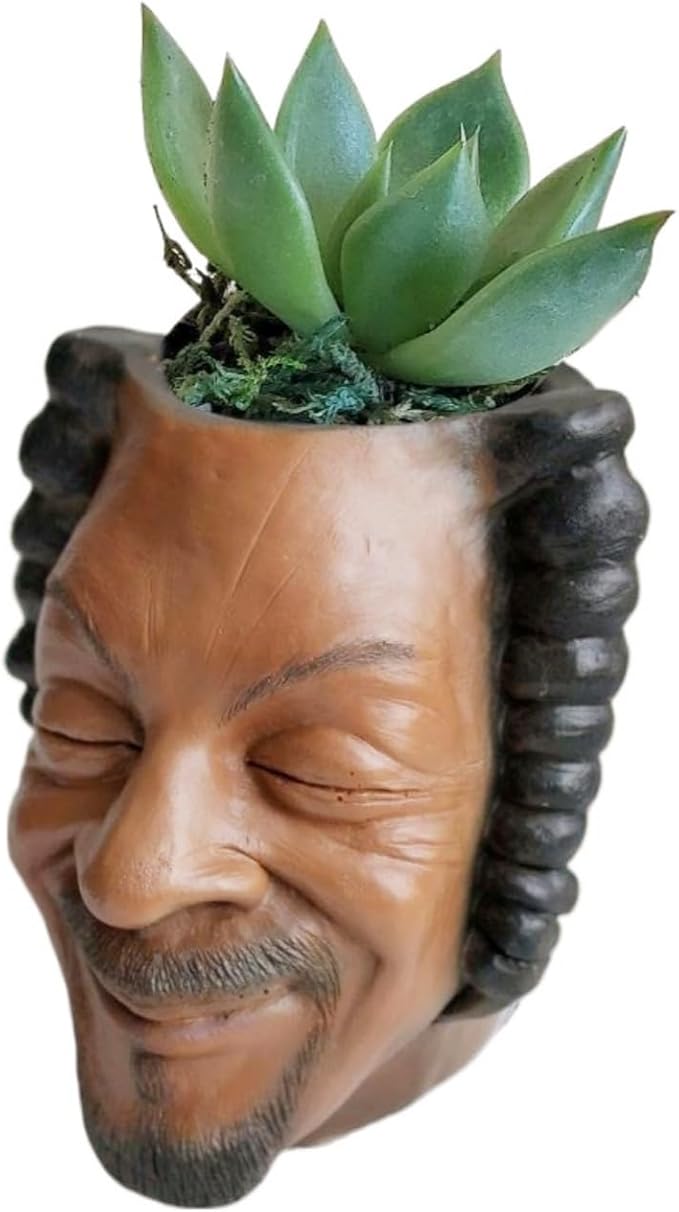 Funny Celebrity Face Planter Pot,Rapper Man Face Succulent Flower Pot,Old Man Head Planter Plant Pots for Indoor Outdoor Plants,Halloween Décor
