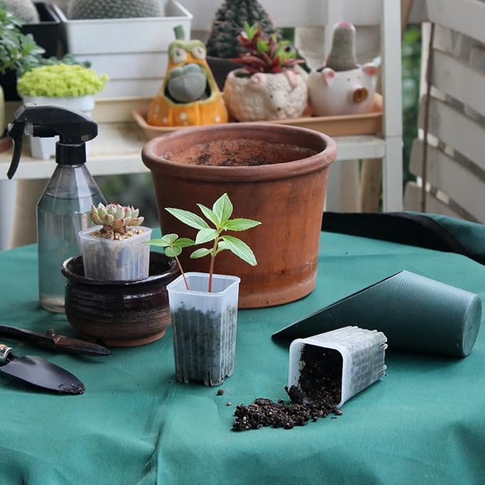 BangQiao 180 Pack 1.95 Inch Tiny Clear Plastic Square Nursery and Seedling Pot, Mini Deep Transplant Seed Starter Planter with Drain Hole for Germination, Herb, Succulent