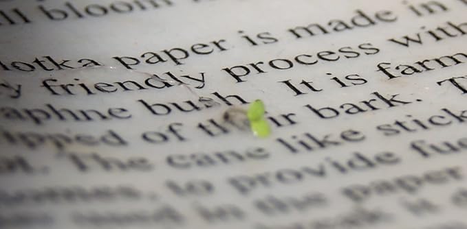25 Seed Embedded Recycled Lotka Printer Paper
