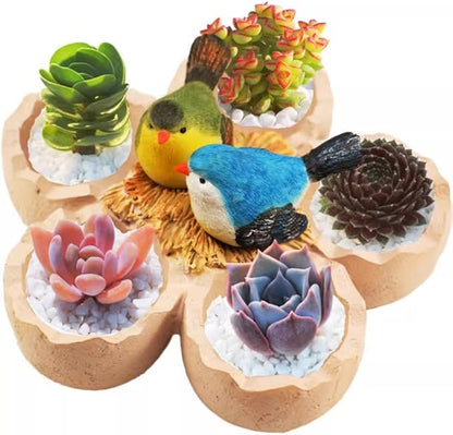 Fantasee Succulent Pot, Small Garden Pots with Drainage Hole, Resin Plants Flower Pots Miniature Ornaments for Home Office Decor (Bird's Nest)