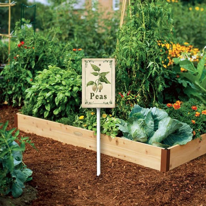 Uptell Vintage Vegetable Signs for Garden with Stake Peas Yard Sign Vegetable Garden Label Stakes Plant Markers for Outdoor Plants Waterproof 8x12inch