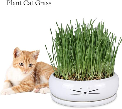 Koolkatkoo 8 Inch Large Cute Cat Ceramic Succulent Planter Pots with Removable Saucer Unique Porcelain Cactus Planters Decorative Flower Pot for Cat Lovers White