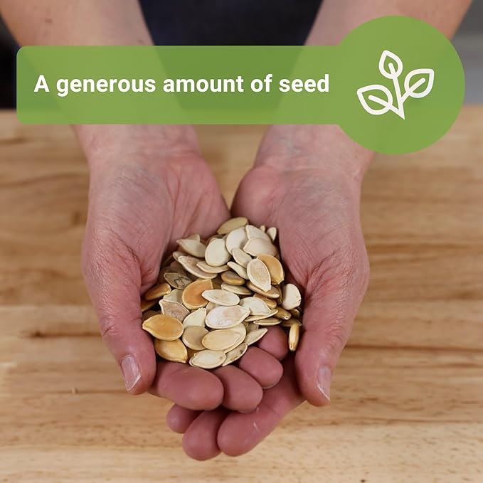 Sow Right Seeds - Bulk Mixed Pumpkin Seeds for Planting - 1 Ounce, 140 Seeds - Non-GMO Heirloom Jumbo Pack - Includes Small Sugar, Big Max, Casper, and More - Grow Loads of Colorful Mixed Pumpkins
