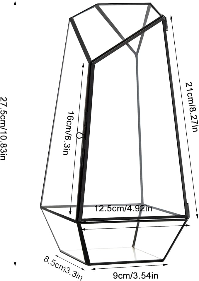 FISCRAT Tabletop Glass Terrarium -5"x5"x10.8" Black Metal Frame Indoor Plant Display Container with Openable Door, Low Maintenance Succulent Ecosystem, Space Saving Art Decor (Plants Not Included)