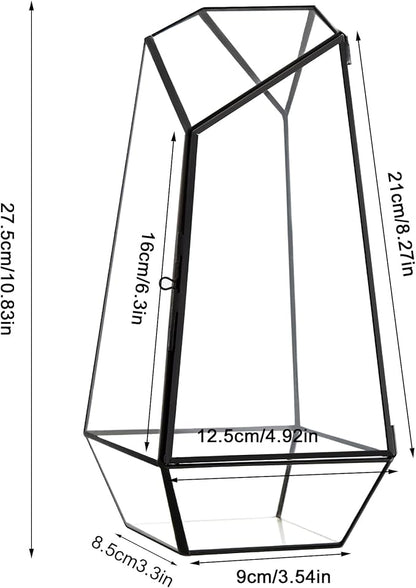 FISCRAT Tabletop Glass Terrarium -5"x5"x10.8" Black Metal Frame Indoor Plant Display Container with Openable Door, Low Maintenance Succulent Ecosystem, Space Saving Art Decor (Plants Not Included)