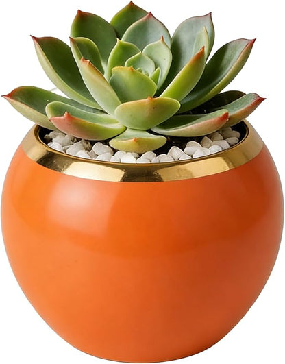 Orange Gold Spherical Ceramic Plant Pots Succulent Small Plant Pot Indoor Modern Decorative Indoor-Outdoor Garden Plant Pots with Drainage Holes - Plants Not Included 3.94 x 3.94 x 3.15 Inch
