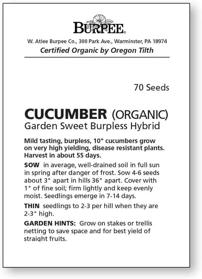 Burpee Sweet Burpless Slicing Cucumber Seeds 70 seeds