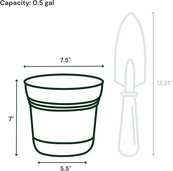 Bloem Saturn 7" Fuchsia Round Resin Planter Pot with Snap-in Saucer for Indoor and Outdoor Gardening, 4-Pack