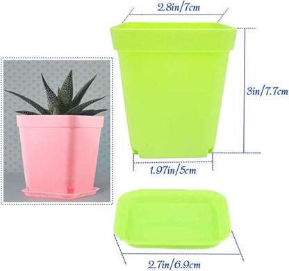 24Pack 3 Inch Plastic Plant Pots,Square Seedling Nursery Pots Succulent Flower Planter Container with Saucers for Garden,Room,Office,Balcony Decor,Multicolor