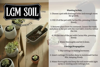 LGM Premium Cactus & Succulent Soil Mix (0.5 Cu Ft) – Root Rot Protection with Volcanic Ash & Chicken Manure – Fast Draining Mix for Indoor Plants, Aloe, Citrus, & Palms – Organic, Ready-to-Use