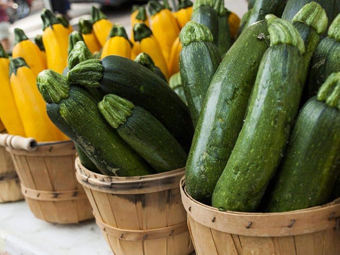 Seeds Zucchini Courgette Squash Summer Mix Heirloom Vegetable for Planting Non GMO