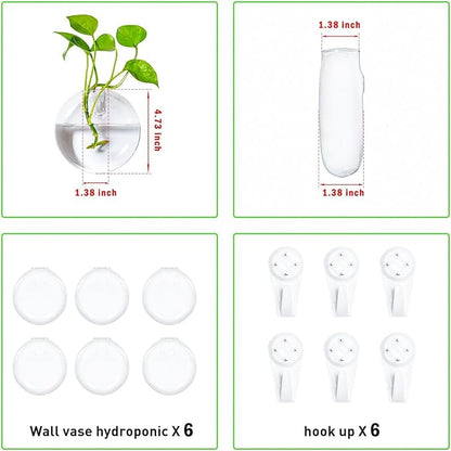 6 PCS Glass Wall Hanging Planters for Flowers, Hydroponics, Indoor Use, Medium, Transparent, Round, Classic Style