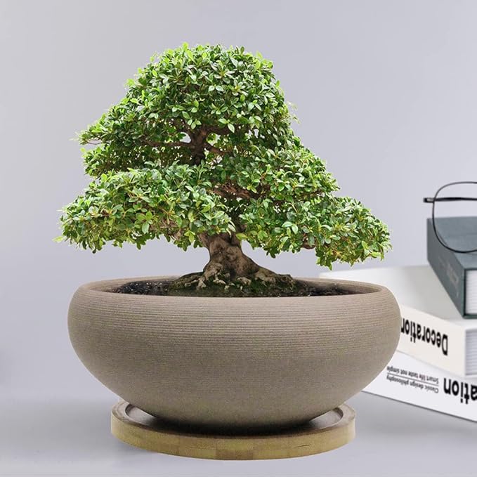 MUZHI Round Unglazed Ceramic Bonsai Pot with Bamboo Tray, Large Rough Pottery Succulent Planter with Drainage Hole 8 inch … (8”)