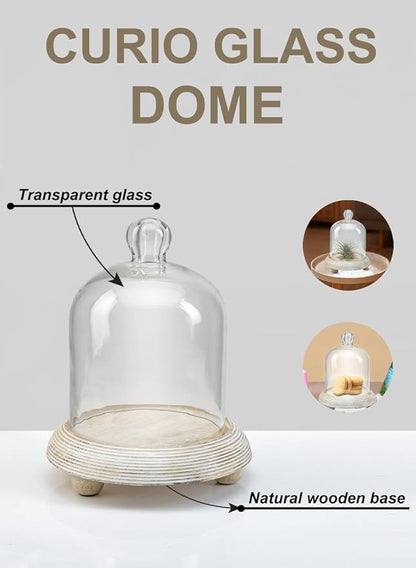 Serene Spaces Living Curio Glass Dome with Natural Wooden Base, Airplants, Flower Blooms, Accessories, Photos, Candles, Dessert Display, Home, Office Decor, Gift Idea - 6" Diameter & 7.5" Tall